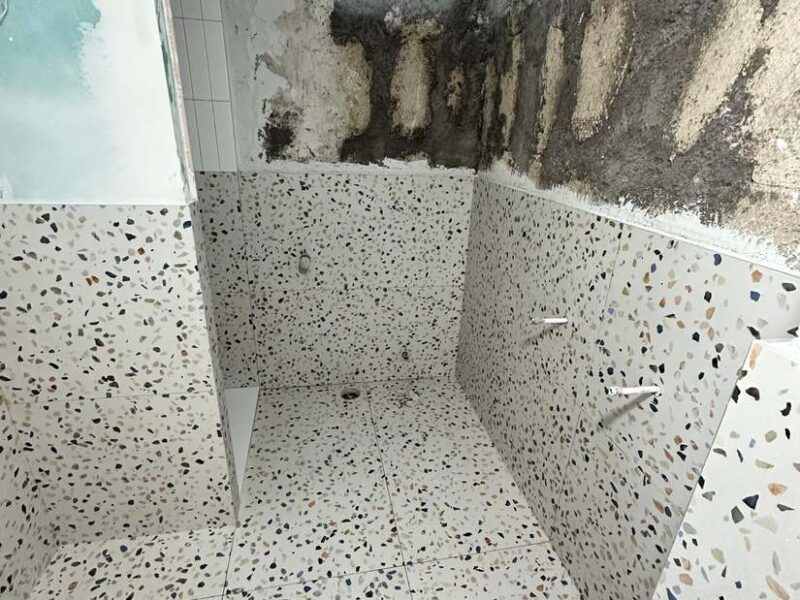 Pared con humedades y desprendimientos antes de intervenir